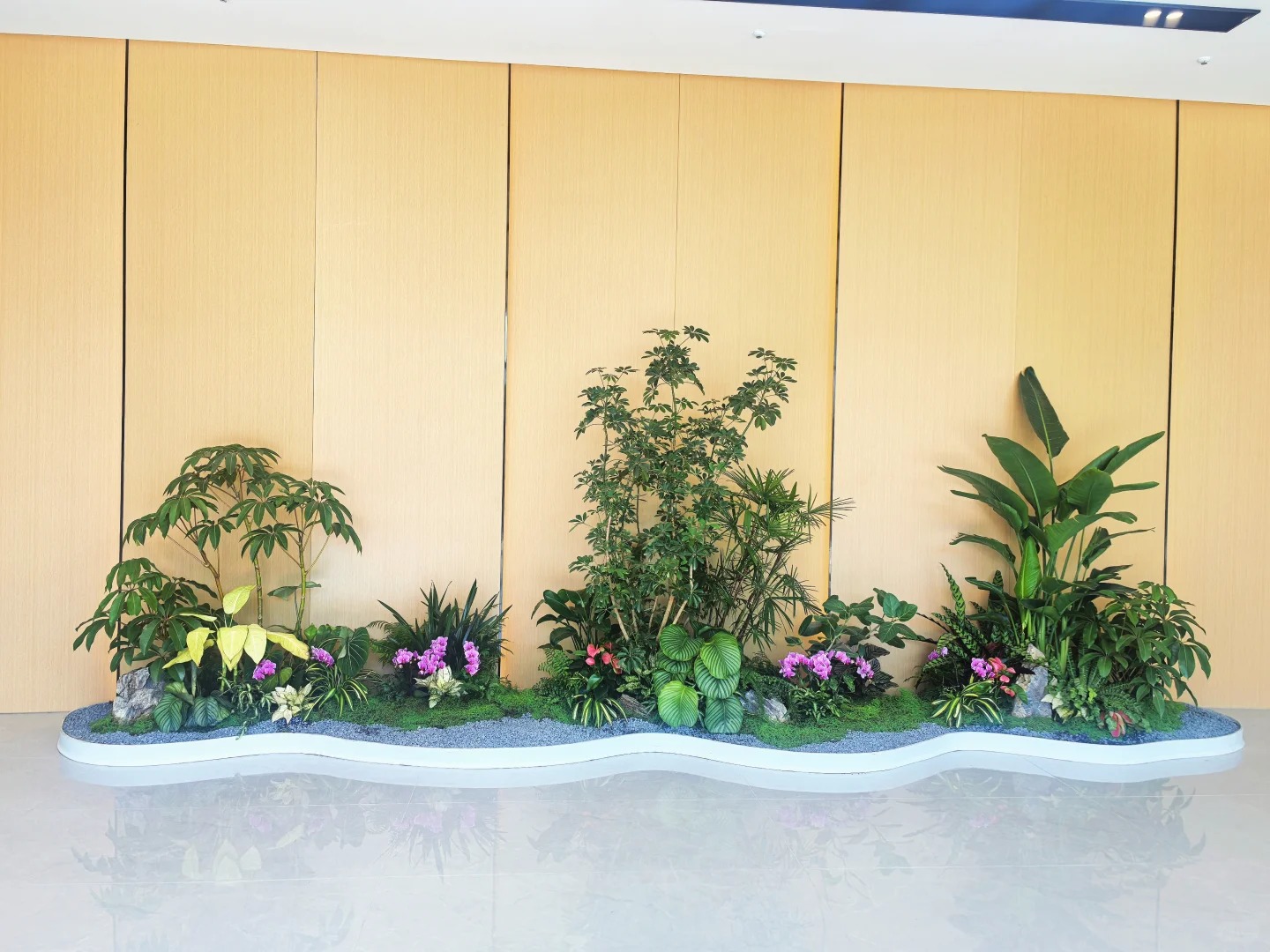 专业盆景出租，宁波北仑的绿色点缀新选择