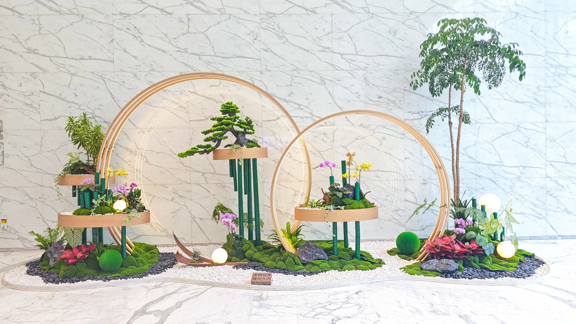 专业绿植出租在前湾，装点您的每一寸空间