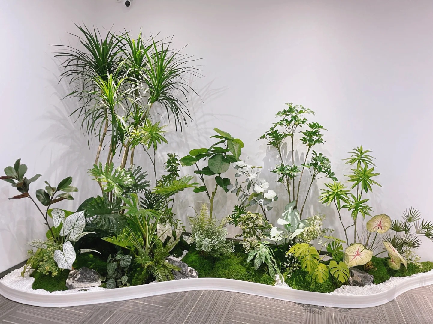 专业盆景出租，宁波北仑的绿色点缀新选择